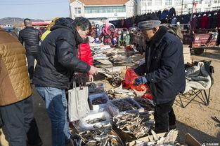 青岛农村大集爆料视频,现场爆料视频引网友热议