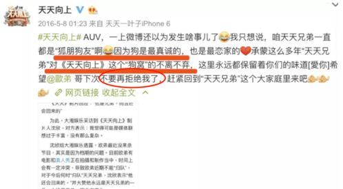 爆料娱乐圈全部,揭秘明星背后的真相与秘密