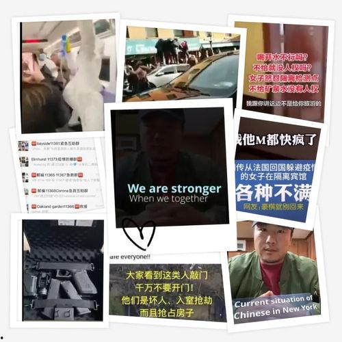 国外爆料病毒视频大全集,国外爆料病毒视频大全集深度解析