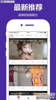 粤东事件爆料视频播放下载,揭秘事件背后真相