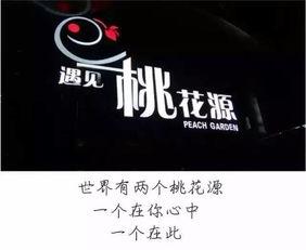 情歌王子爆料视频,独家爆料背后的感人故事