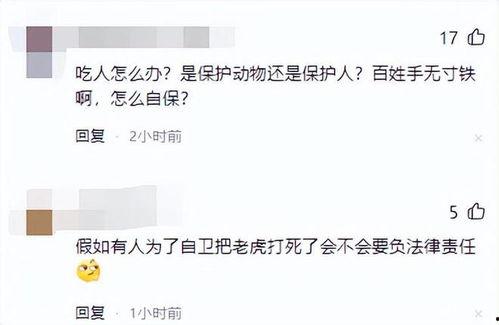 黑龙江都市爆料新闻视频,揭秘当地热点事件背后的真相