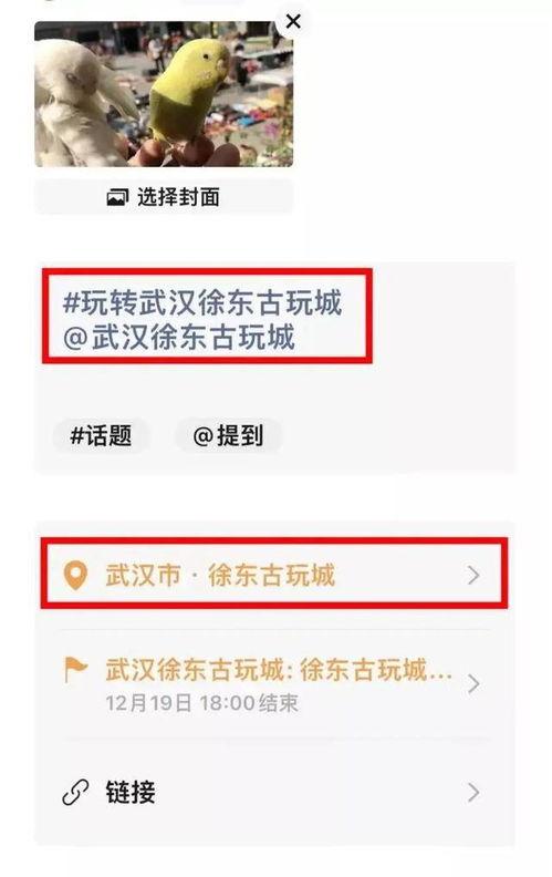 爆料视频赢丰厚奖金,丰厚奖金等你来赢！