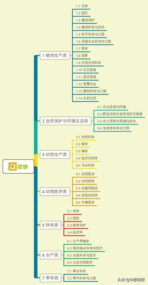 南澳爆料大叔视频大全集,揭秘南澳风云，视频大全集深度解析