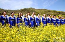 武山油菜花爆料视频,金黄花田里的春日盛宴