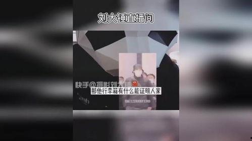 大锤助理爆料视频大全集,揭秘娱乐圈幕后真相