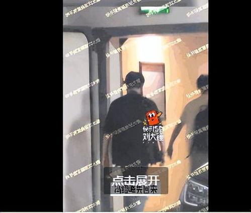 大锤助理爆料视频大全集,揭秘娱乐圈幕后真相
