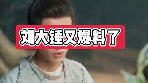 刘大锤爆料曹云龙视频大全,曹云龙视频大全背后的故事