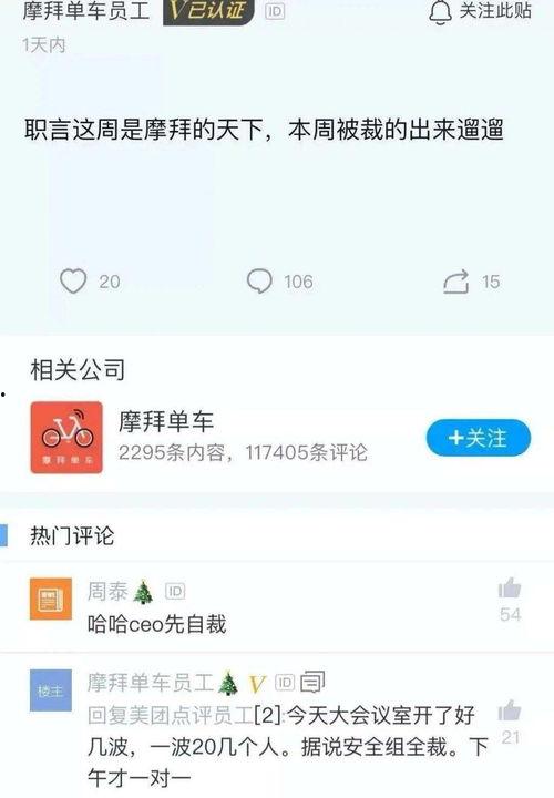仲恺抖音爆料视频最新,揭秘校园生活新动态