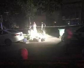 网友爆料坠楼视频大全最新,揭秘生死瞬间