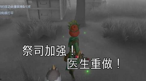 第五策划爆料最新,最新动态与未来展望
