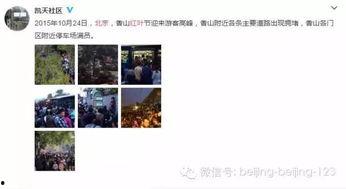 北京网红爆料视频大全,揭秘城市生活热点瞬间