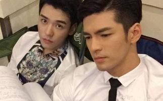 盛势 电视剧在线观看,宫廷权谋与爱情纠葛的巅峰对决