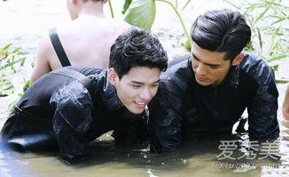 盛势 电视剧在线观看,宫廷权谋与爱情纠葛的巅峰对决