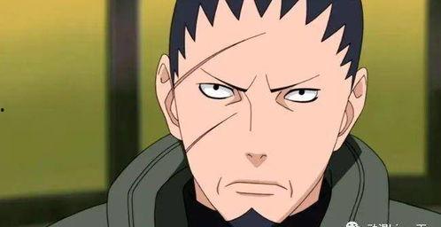 青年水门爆料鹿丸视频,鹿丸视频背后的惊人真相