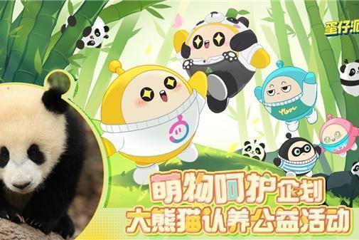 蛋仔熊猫爆料视频下载,揭秘神秘视频背后的精彩内容