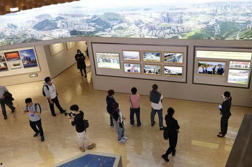 爆料香港旅游团视频播放,一场别开生面的文化之旅