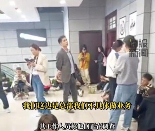 爆料香港旅游团视频播放,一场别开生面的文化之旅