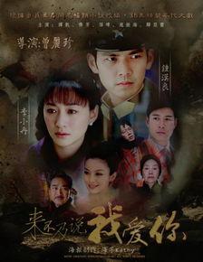 来不及说我爱你在线观看,穿越时空的深情告白