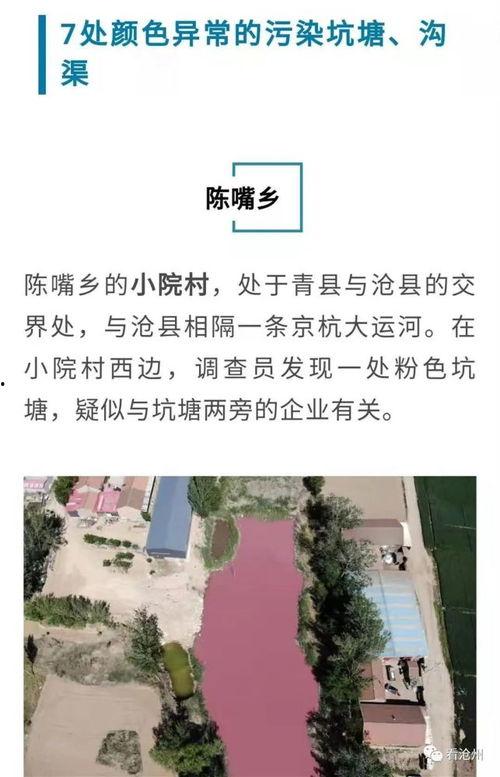 老陈最新爆料视频下载,视频内容深度解析