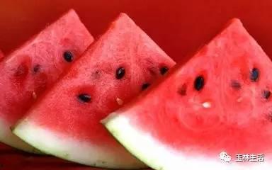 网红西瓜冰吃瓜事件真相,真相大白背后的网络风波