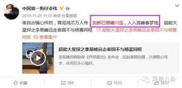 卓伟爆料52种调料视频,52种调料背后的秘密大曝光！