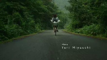 小森林在线观看免费观看,免费在线观看，共赴田园诗意之旅