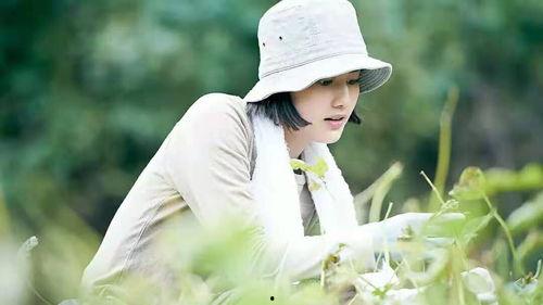 小森林在线观看免费观看,免费在线观看，共赴田园诗意之旅