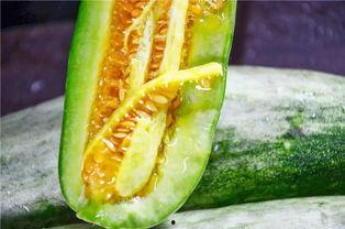 烟台吃瓜网红是谁,瓜界风云人物背后的故事