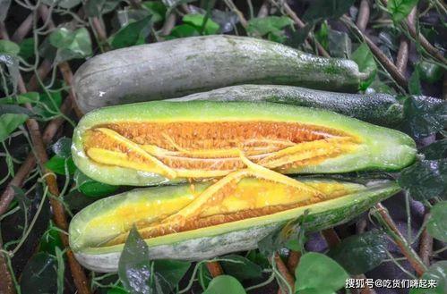 烟台吃瓜网红是谁,瓜界风云人物背后的故事