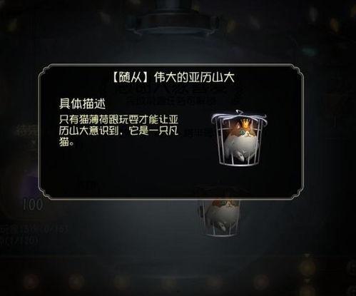 调酒师皮肤 爆料视频,独家爆料视频大揭秘