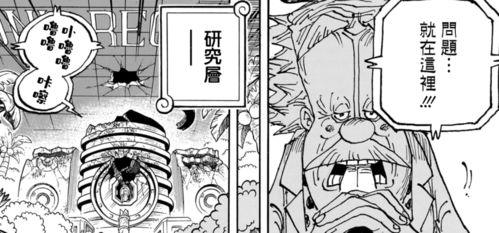 雷利爆料介绍视频大全集,揭秘视频大全集精彩瞬间